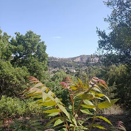 Апартаменты Kalithea Forest View Bangalow Коскину