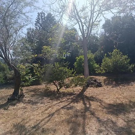 Kalithea Forest View Bangalow Апартаменты Коскину
