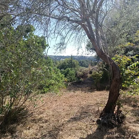 Kalithea Forest View Bangalow *