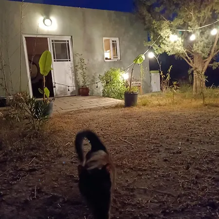 Kalithea Forest View Bangalow Apartman *