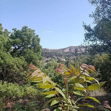 Kalithea Forest View Bangalow Koskinou (Rhodes)